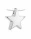 Pingente de freixo 14k. ouro branco l OFERTA