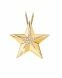 Joia para cinzas 14k. ouro amarelo