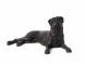 Urna para cães Boxer