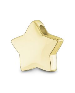 Pingente de freixo 14k. ouro amarelo