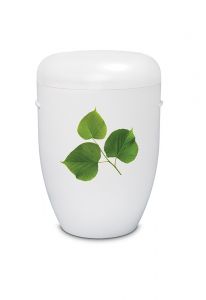 Urna funerária biodegradável