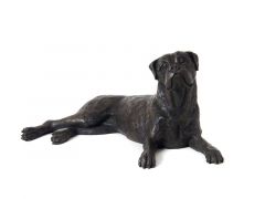 Urna para cães Boxer