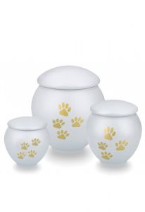Urna pet com patas