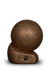 Urna de animais 'Futebol com pegada'