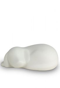 Urna para cinzas de cachorro