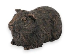 Urna de porquinho da índia