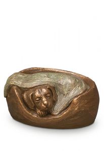 Urna para cinzas de cachorro
