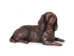 Urna para cães Cavalier King Charles Spaniel