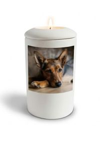 Urna funerária branca acetinada para cão com imagem, personalizável