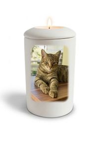 Urna funerária branca acetinada para gato com imagem, personalizável