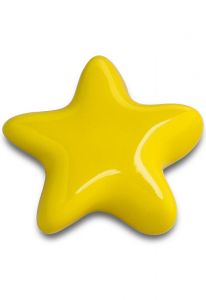Mini urna funerária estrela em diversas cores
