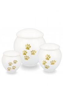 Urna pet com patas douradas
