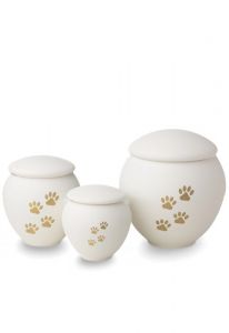 Urna pet com patas douradas