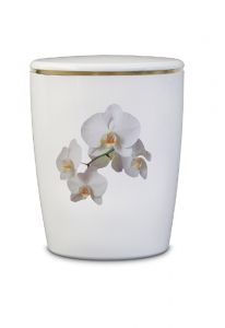 Urna funerária biodegradável