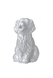 Urna para cinzas de cachorro
