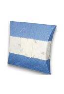 Pequena urna biodegradável para dispersão das cinzas no mar - azul